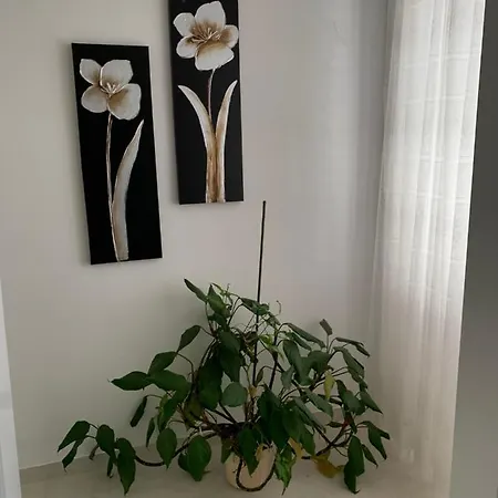 Pahljina Апартаменты *
