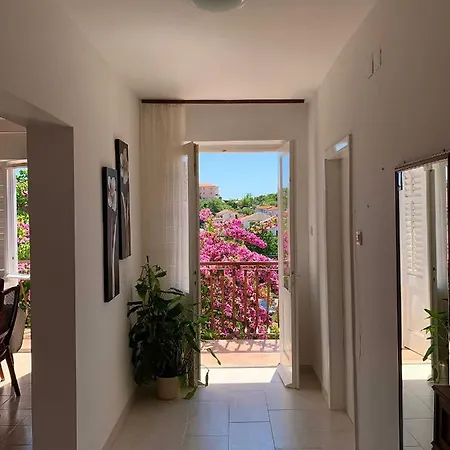 Pahljina Apartman Palit