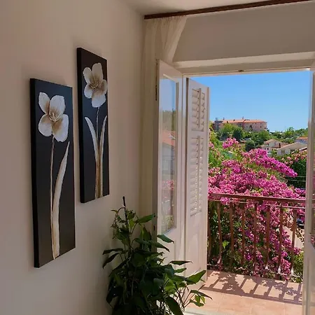 Apartman Pahljina
